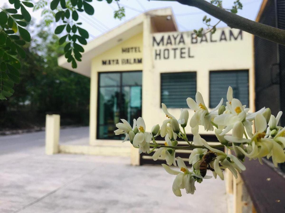 Hotel Maya Balam 斯普希尔 外观 照片